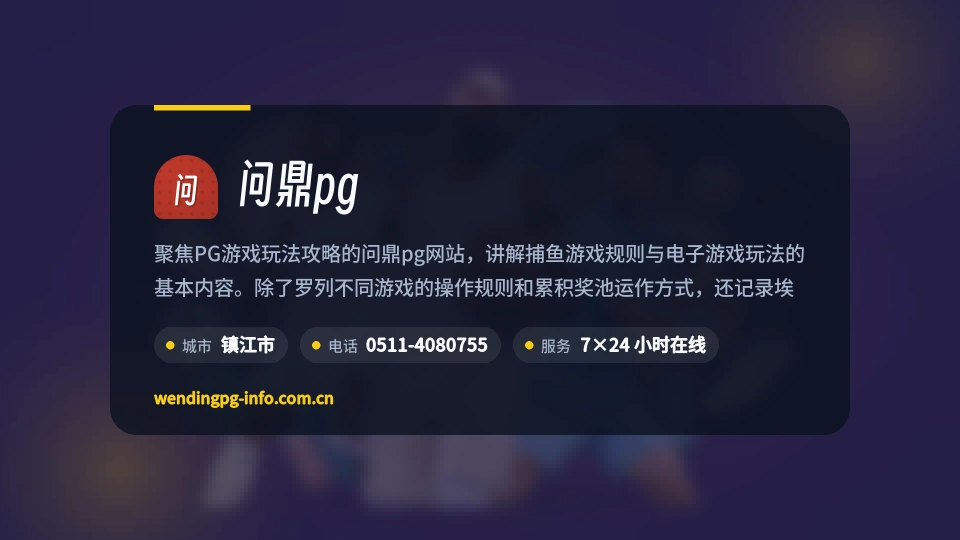 认识问鼎pg